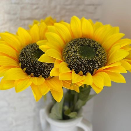 Attico Girasole Daire Lido di Ostia Dış mekan fotoğraf